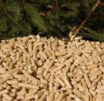 USDA Announces 2017 Biomass Crop Program Details